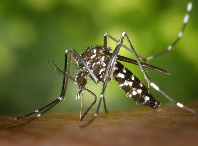 Πρόγραμμα Κίνησης Συνεργείων Καταπολέμησης Κουνουπιών από 20/06/2022 έως 26/06/2022 