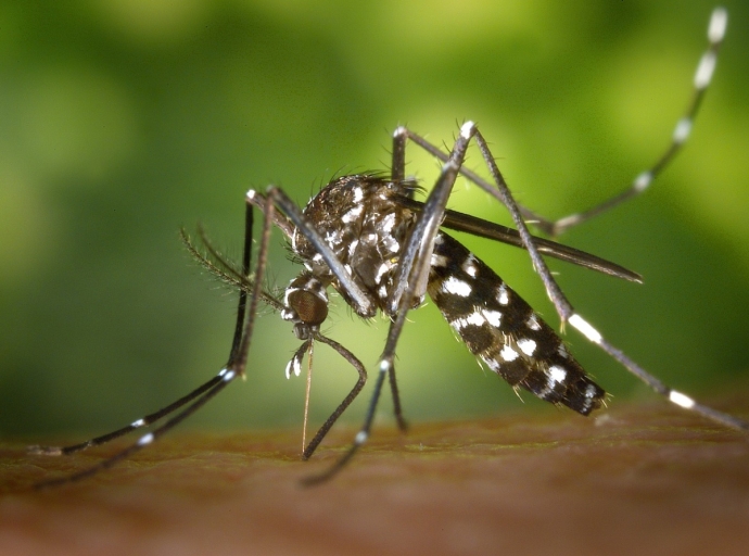Πρόγραμμα Κίνησης Συνεργείων Καταπολέμησης Κουνουπιών από 18/07/2022 έως 24/07/2022