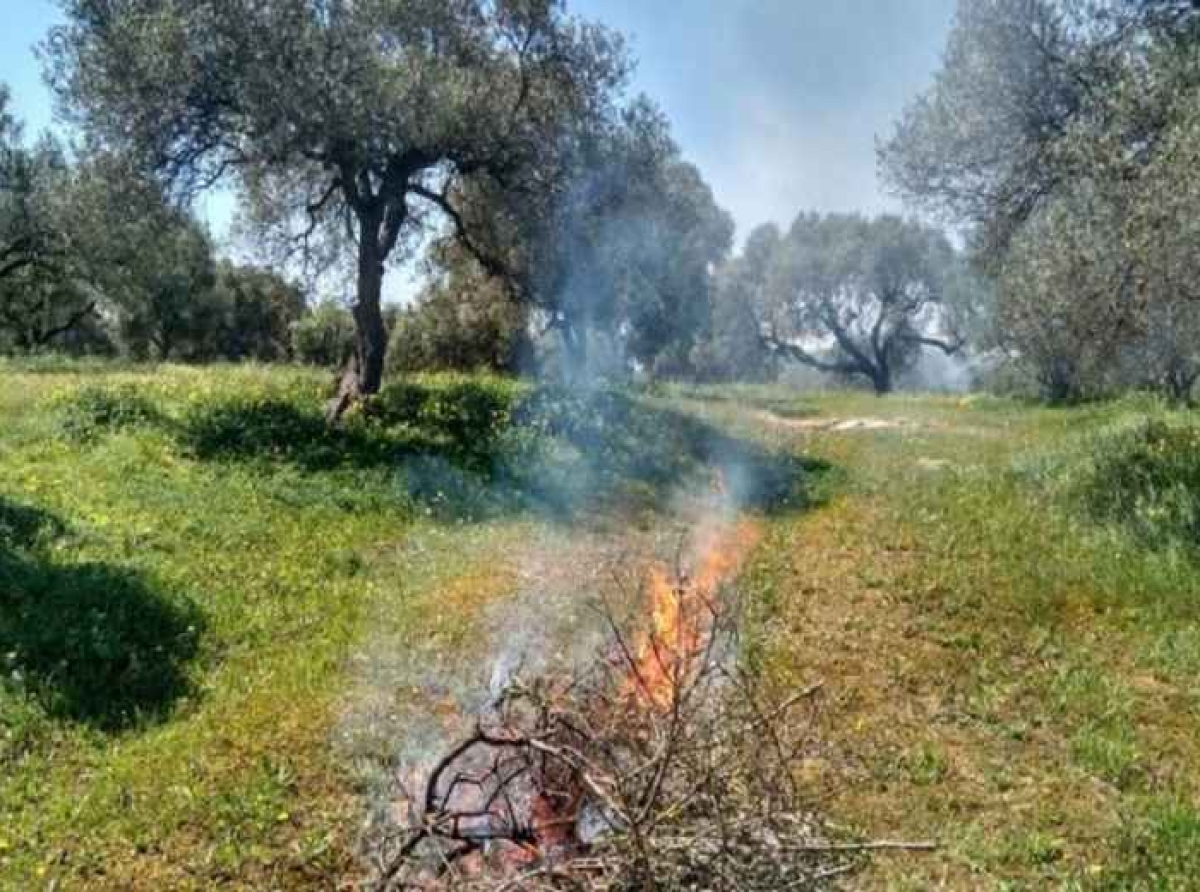 Διαχείριση υπολειμμάτων κλαδέματος από οικίες και χωράφια