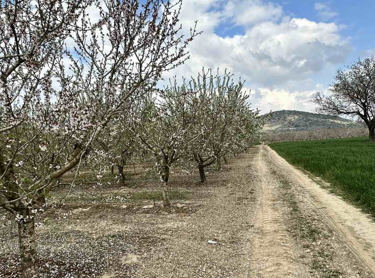 Αυτοψία του επόπτη Π.Ε. Λάρισας σε περιοχές της Δ.Ε. Νέσσωνος του Δήμου Τεμπών