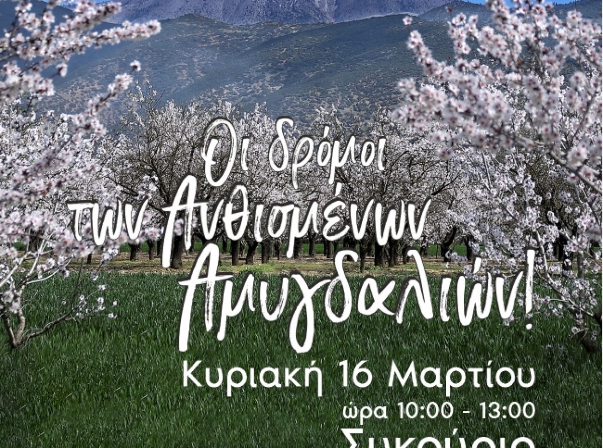 Χαιρετισμός Προέδρου ΕΟΤ Άντζελας Γκερέκου για την εκδήλωση "Οι δρόμοι των Ανθισμένων Αμυγδαλιών"