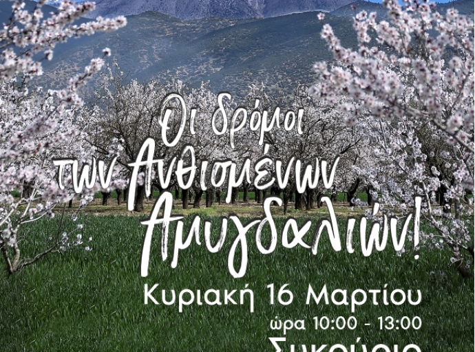 Χαιρετισμός Προέδρου ΕΟΤ Άντζελας Γκερέκου για την εκδήλωση "Οι δρόμοι των Ανθισμένων Αμυγδαλιών"