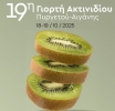 Ξεκινά η 19η Διήμερη Γιορτή Ακτινιδίου Πυργετού – Αιγάνης