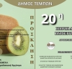 Η καρδιά του Κάτω Ολύμπου χτυπά στην 20η Πανδημοτική Γιορτή Ακτινιδίου Πυργετού – Αιγάνης